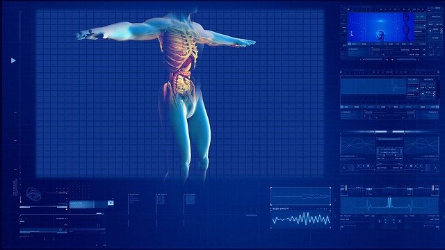 Sistema Digestivo Humano 